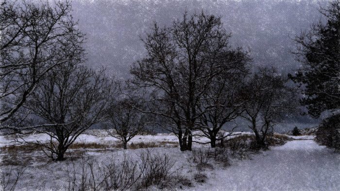 0180 winter