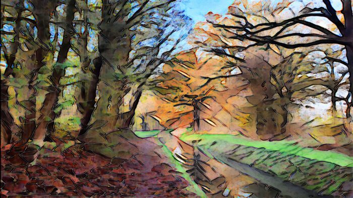0206 herfst in Enter